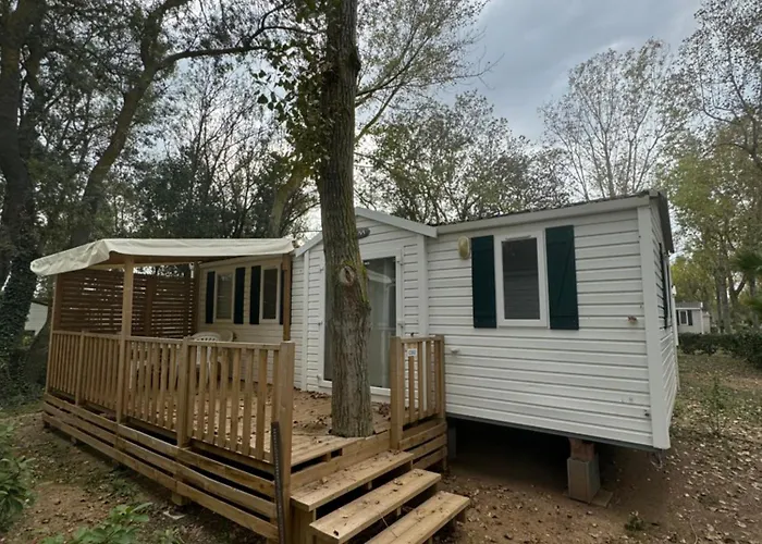 キャンプ場 Mobil-home