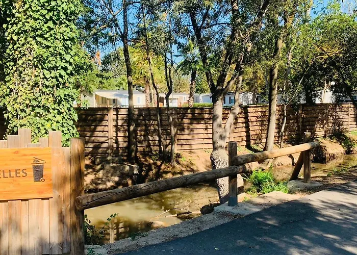 キャンプ場 Mobil-home